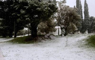 Σε κατάσταση έκτακτης ανάγκης ο δήμος Ωρωπού