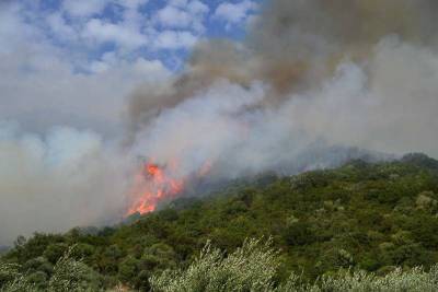 Πολύ υψηλός κίνδυνος πυρκαγιάς στη Μεσσηνία