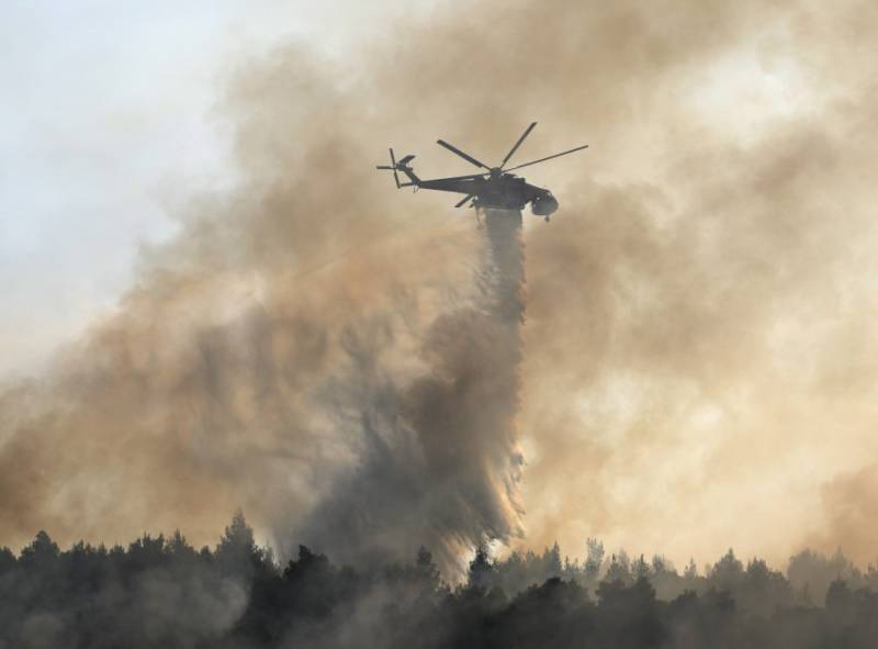 Δίκτυο Νέας Γενιάς του Κινήματος Αλλαγής για τις πυρκαγιές: «Να αναλάβουμε δράση άμεσα όχι μόνο για τις επόμενες γενιές, αλλά και για τη δική μας»