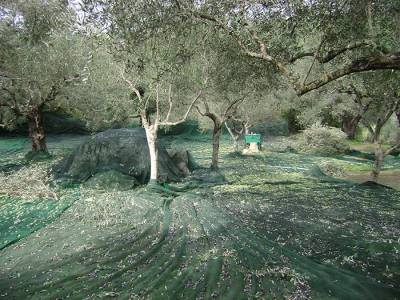 Διευκόλυνση για εργάτες γης ζητεί ο Λαμπρόπουλος