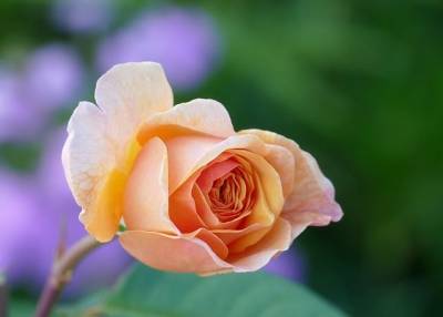 Αστρολογία – 30/09/2023