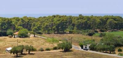 Τρεις συλλήψεις για ναρκωτικά στην Ελαία