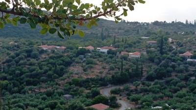 Αγορά οικοπέδου για πλατεία στον Αγριλο