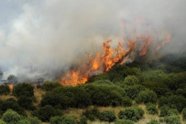 Πυρκαγιά στο Καλό Χωριό Πεδιάδας στην Κρήτη