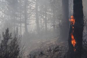 Δραματική κλιματική αλλαγή μέχρι το 2100 στη Μεσσηνία: Ολο και περισσότερες ζέστες και πυρκαγιές