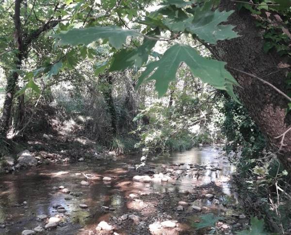 Σεμινάρια για προστασία υδάτινου οικοσυστήματος στη Δημητσάνα