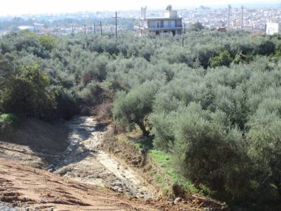 Η μάχη των καθαρισμών και ο πόλεμος των πυρκαγιών