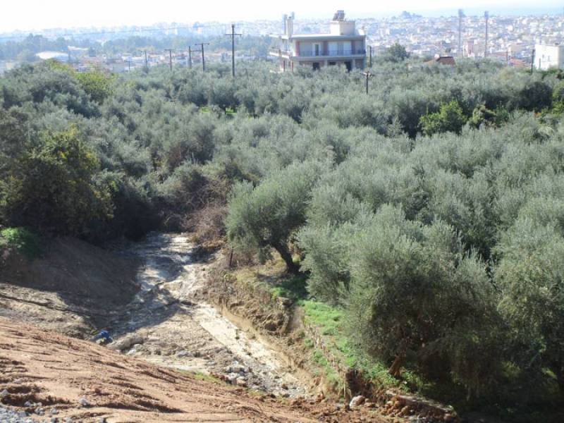 Η μάχη των καθαρισμών και ο πόλεμος των πυρκαγιών
