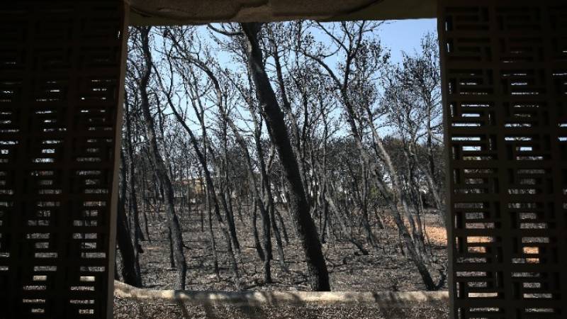 Πυρκαγιά στο Μάτι: Τι αναφέρει στην πρότασή του ο εισαγγελέας