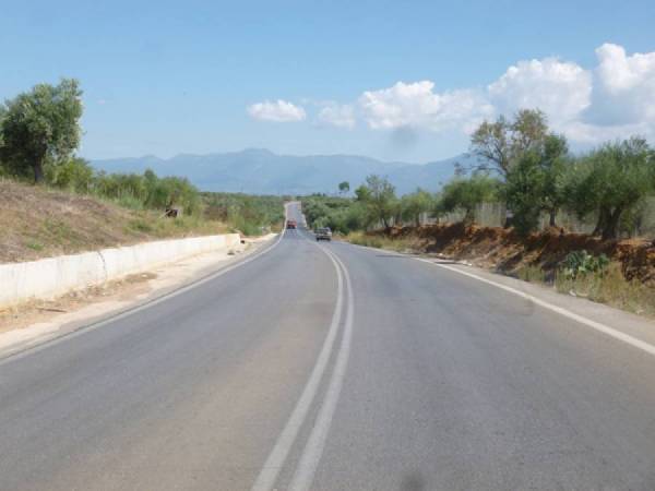 Προβληματισμοί και από Αλειφέρη για το δρόμο Καλαμάτα - Ριζόμυλος