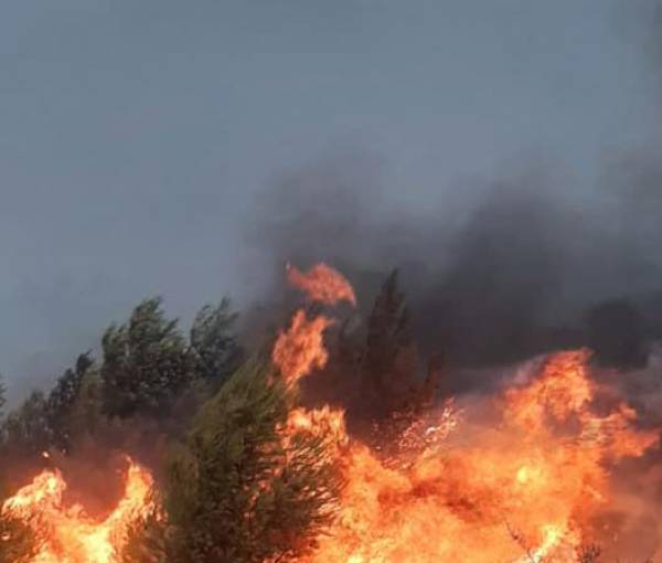 ΗΠΑ: Στην Καλιφόρνια, η πυρκαγιά Ντίξι συνεχίζει να μετατρέπει σε στάχτη εκατοντάδες σπίτια