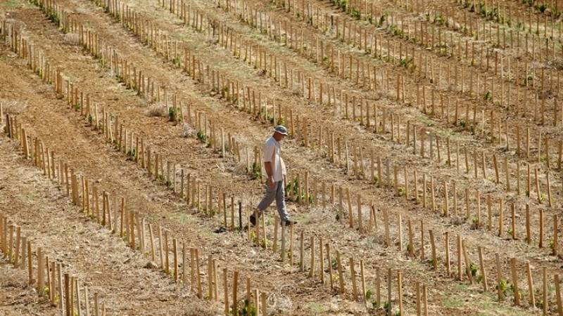 Υψηλός κίνδυνος ερημοποίησης για το 1/3 της Ελλάδας - Η Ανατολική Πελοπόννησος στις "κόκκινες" περιοχές