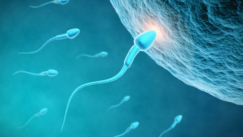 Έρευνα: Οι ντομάτες κάνουν καλό στο σπέρμα των ανδρών και στη γονιμότητα