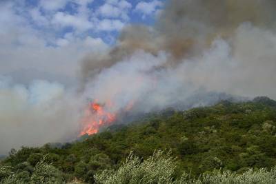 Δύσκολες ώρες με τις πυρκαγιές σε Μαγκλαβά και Μάνη (φωτογραφίες)
