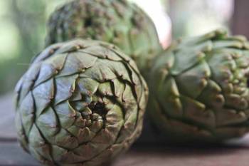 Γιορτή Αγκινάρας στη Μικρομάνη