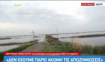 «Δεν έχουμε πάρει αποζημιώσεις» - Τι γίνεται με τις καλλιέργειες και τις αποζημιώσεις 1 μήνα μετά τις πλημμύρες στη Θεσσαλία