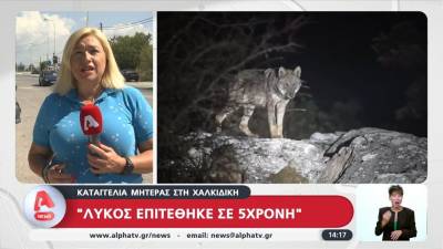 Επίθεση λύκου σε 5χρονο κοριτσάκι σε παραλία της Χαλκιδικής (βίντεο)
