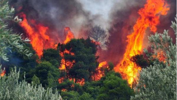Ρόδος: Μεγάλη φωτιά απειλεί κατοικημένη περιοχή