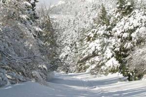 Χιόνια στα ορεινά της Πελοποννήσου - Το Σάββατο ανοίγει το Χιονοδρομικό Μαινάλου