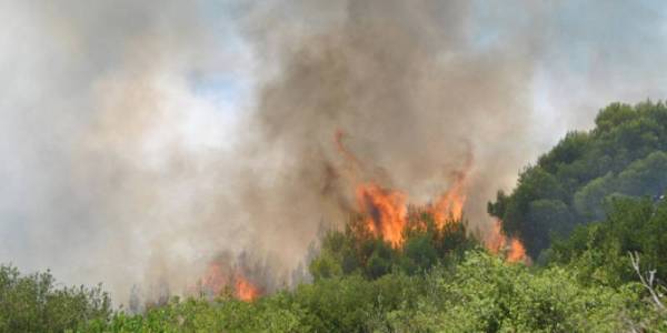 Συνεδρίασε το συντονιστικό Τοπικό Όργανο: Σε επαγρύπνηση ο Δήμος Οιχαλίας για τις πυρκαγιές