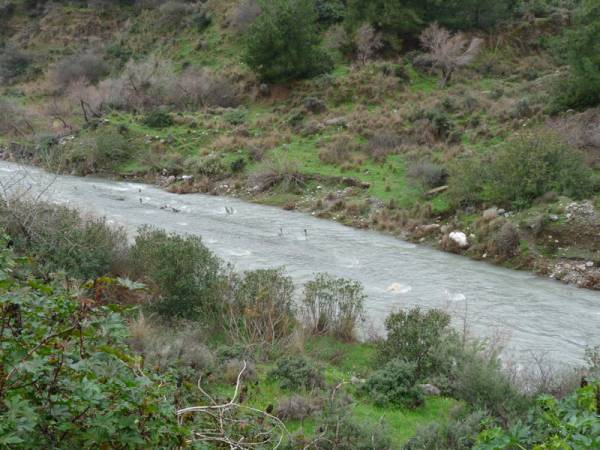 Αξιοποίηση μονοπατιών του Δήμου Καλαμάτας ζητούν 17 φορείς