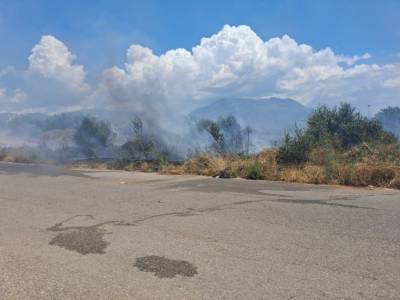 Τέσσερα στρέμματα έκαψε φωτιά στην Αγία Τριάδα