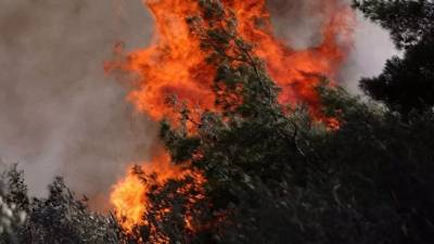 Κεφαλονιά: Φωτιά στην περιοχή Λιβάδι