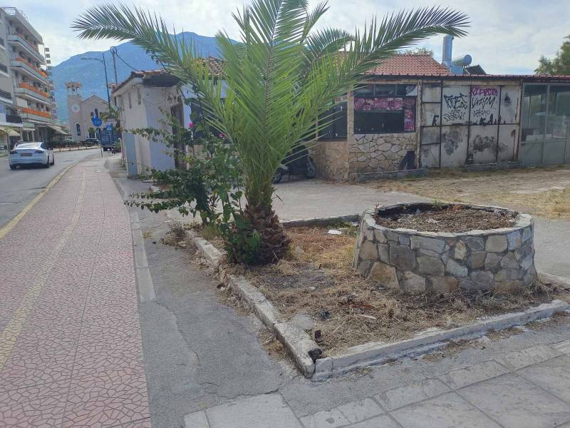 Το κερασάκι στην τούρτα...