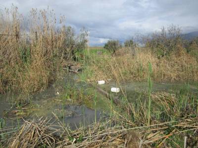 Εργο βελτίωσης ΓΟΕΒ Παμίσου