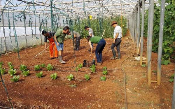 Στη λαϊκή της Καλαμάτας προϊόντα του «Κήπου της Λυσούς»