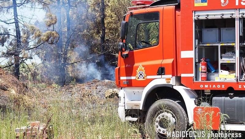 Πρέβεζα: Πυρκαγιά σε δασική περιοχή κοντά στην ΒΙΠΕ - Μήνυμα από το 112