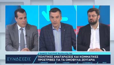 Πλεύρης για ομόφυλα ζευγάρια: Ο θεσμός της οικογένειας πρέπει να μείνει ως έχει (Βίντεο)