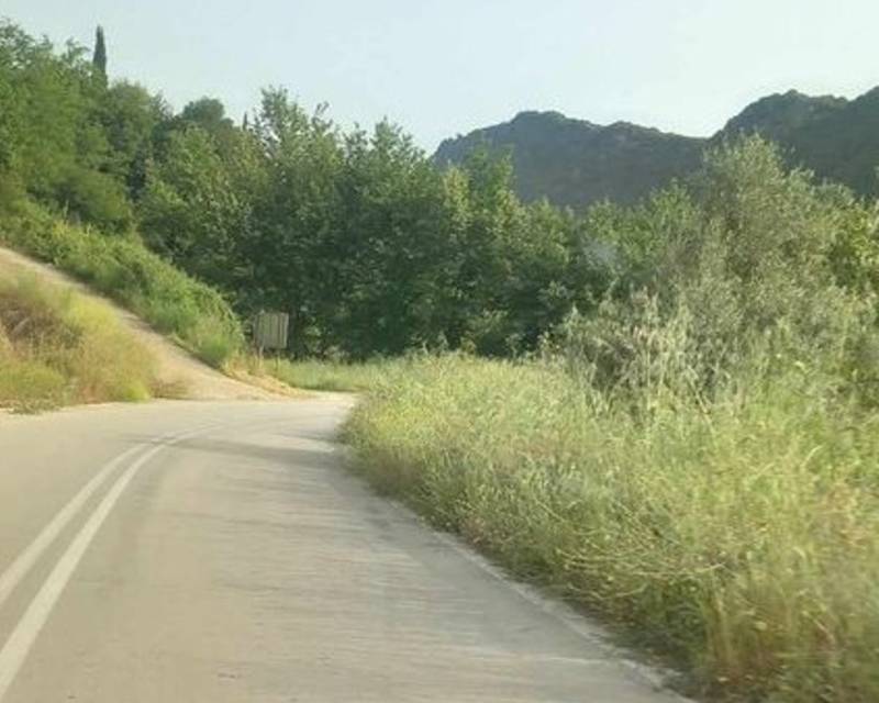 Δεν είναι δύσκολο τα βάτα να μην κλείνουν τους δρόμους