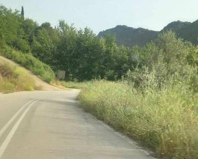 Δεν είναι δύσκολο τα βάτα να μην κλείνουν τους δρόμους