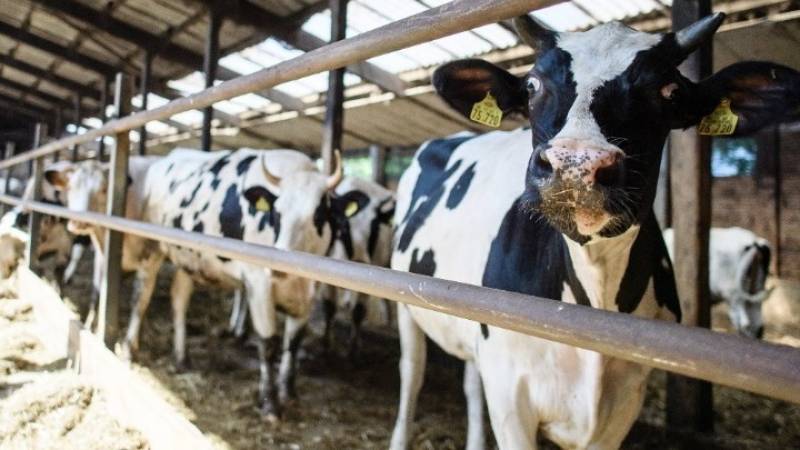 Στην τελική ευθεία η έναρξη λειτουργίας του Ταμείου Μικροπιστώσεων