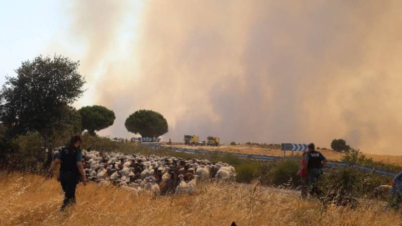 Ισπανία -Πυρκαγιές: Εκκενώσεις οικισμών στην Φερμοσέλ, στα σύνορα με την Πορτογαλία