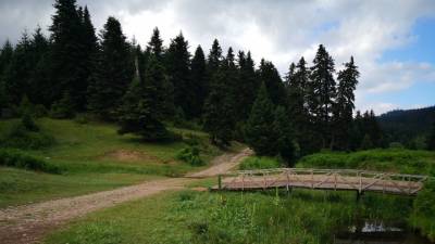 «Τα ελληνικά δάση αποτελούν έναν ανεκτίμητο εθνικό θησαυρό» τονίζει ο καθηγητής στο Παν. Θεσσαλίας, Μ. Τρίγκας