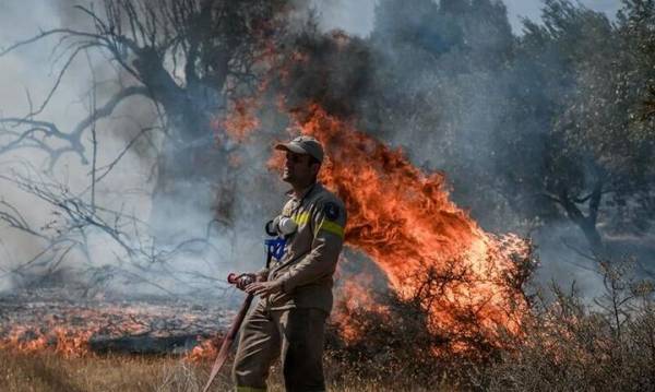 Πυροσβεστική: 39 δασικές πυρκαγιές το τελευταίο εικοσιτετράωρο - Πολύ υψηλός κίνδυνος πυρκαγιάς αύριο στην Πελοπόννησο