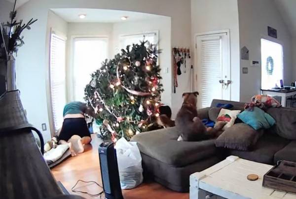Γκάφες με φόντο το... Χριστουγεννιάτικο δέντρο (Βίντεο)