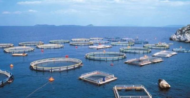 Πρόγραμμα για βιώσιμη αλιεία και υδατοκαλλιέργεια στην Πελοπόννησο