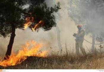 Φωτιά στο Τσαπί Πυλίας