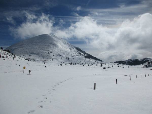 Ορειβατικός Σύλλογος Καλαμάτας: Εξόρμηση στον χιονισμένο Πάρνωνα