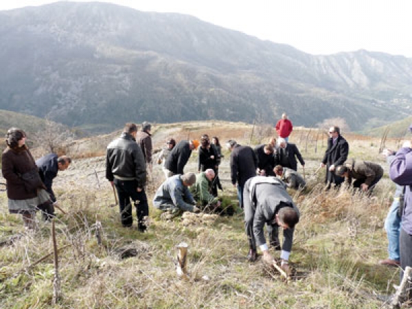 Αναδάσωση την Κυριακή (11/3) από τους &quot;Φίλους του Ταϋγέτου&quot; και τον ΕΟΣ Καλαμάτας