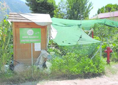 Καλαμάτα: Καλλιεργούν τα κηπευτικά τους σε 96 δημοτικούς λαχανόκηπους