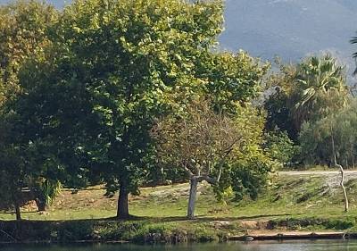 Περιβαλλοντικός περίπατος στον Αμμο