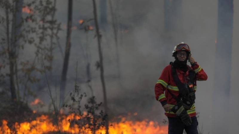 Τα τελευταία 20 χρόνια διπλασιάστηκε παγκοσμίως η επιφάνεια των δασών που καταστρέφεται από τις πυρκαγιές