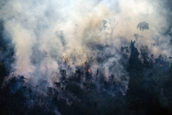 Αποψίλωση ρεκόρ του δάσους του Αμαζονίου: Καταστράφηκαν 5.474 στρέμματα μέσα σε επτά μήνες