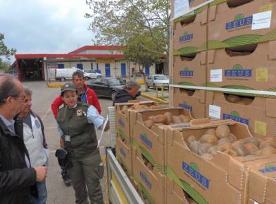 65 τόνοι ακτινίδια μοιράστηκαν σε μαθητές στην Καλαμάτα