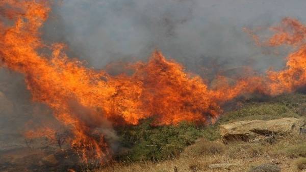 Αγρίνιο: Φωτιά σε δασική έκταση στην περιοχή Στράτος