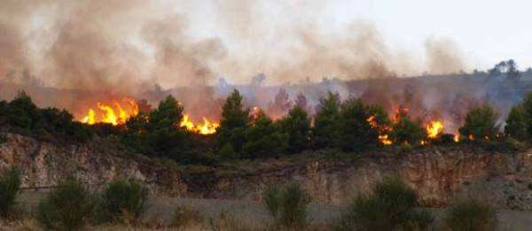 Ζάκυνθος: Πυρκαγιά σε δασική περιοχή της Λιθακιάς